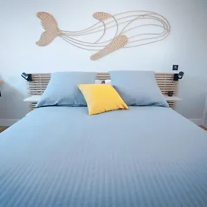 Coup De Cœur Assuré Pour Ce T2 Rénové Hyper Centre Appartement Biarritz